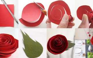 Как сделать розы из бумаги своими руками