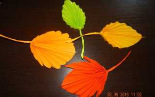 Как сделать листья из гофрированной бумаги