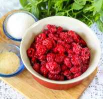 Как сделать малиновую прослойку для торта